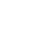 Investment Icon